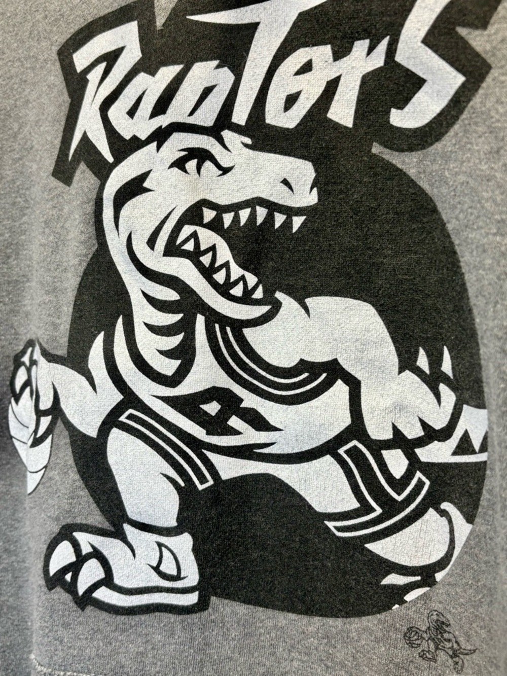 Toronto Raptors Hoodie - Picture 3 of 3